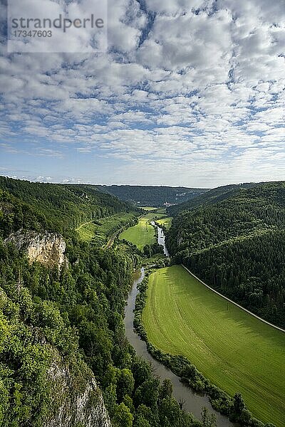 Ausblick vom Knopfmacherfelsen in das Donautal  Beuron  Schwäbische Alb  Baden-Württemberg  Deutschland  Europa