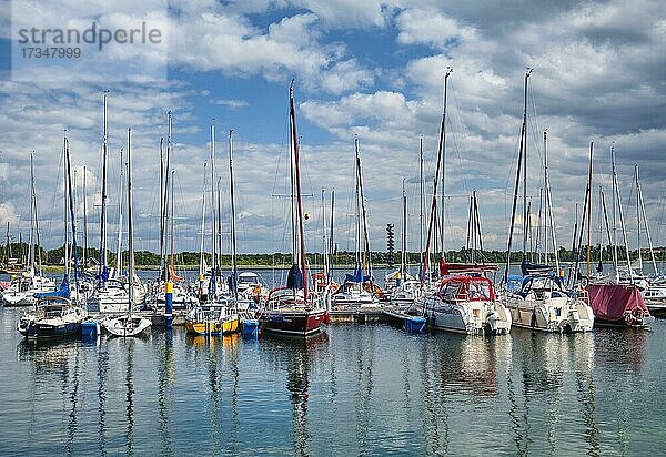 Yachthafen Marina Bernsteinsee  Großer Goitzschesee  Goitzsche bei Bitterfeld  Sachsen-Anhalt  Deutschland  Europa