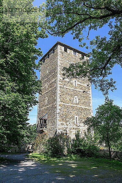 Burgturm von Burg Schaumburg  Rinteln  Niedersachsen  Deutschland  Europa