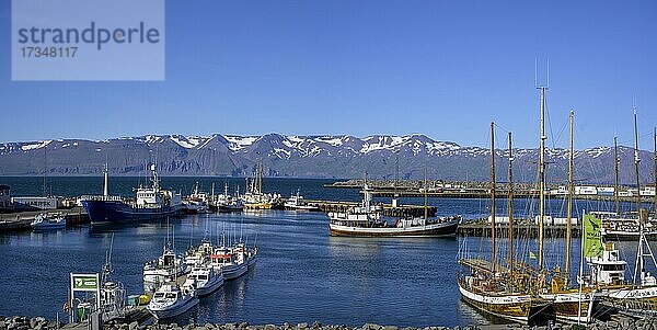 Blick in den Hafen von  Húsavik  Norðurland eystra  Island  Europa