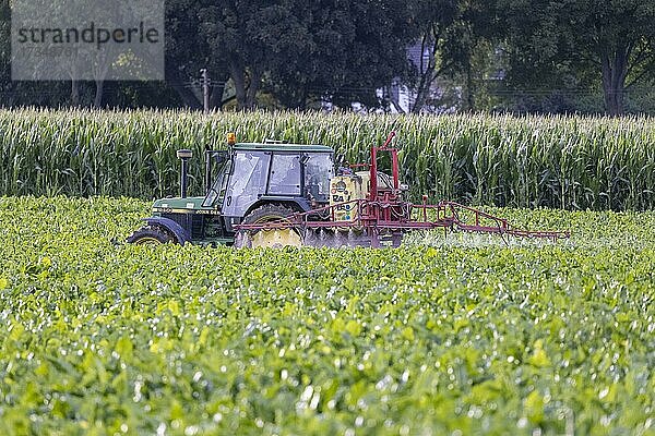 Pestizideinsatz in der Landwirtschaft  Deutschland  Europa