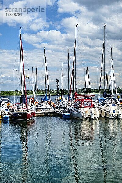 Yachthafen Marina Bernsteinsee  Großer Goitzschesee  Goitzsche bei Bitterfeld  Sachsen-Anhalt  Deutschland  Europa