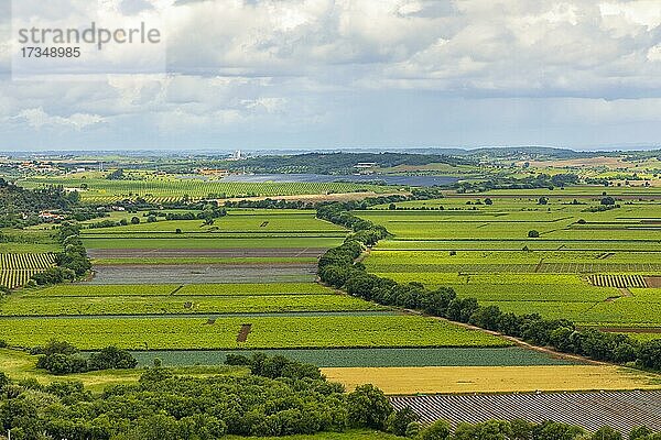 Landwirtschaftliche Felder  Landschaft mit dramatischem Himmel  Santarem  Portugal  Europa