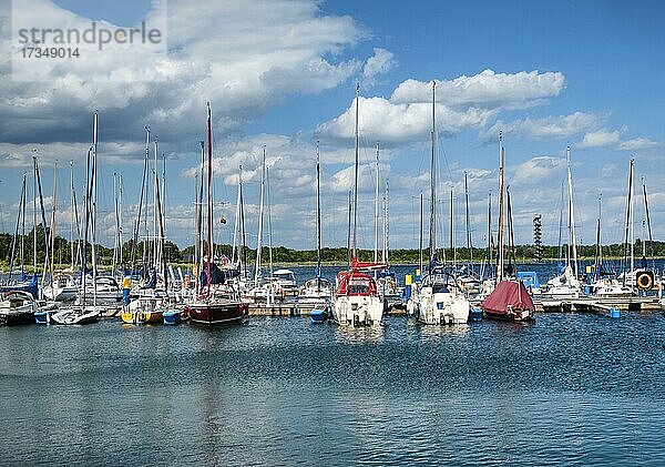 Yachthafen Marina Bernsteinsee  Großer Goitzschesee  Goitzsche bei Bitterfeld  Sachsen-Anhalt  Deutschland  Europa