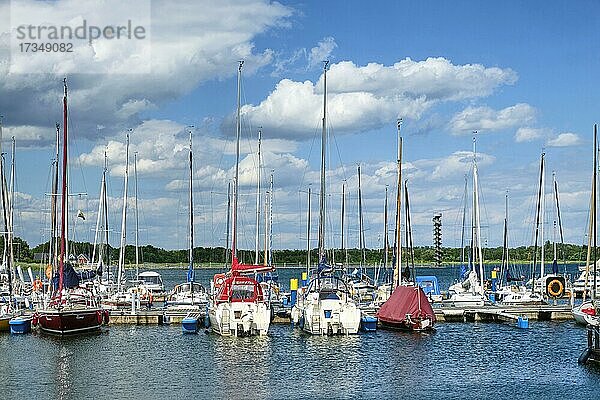 Yachthafen Marina Bernsteinsee  Großer Goitzschesee  Goitzsche bei Bitterfeld  Sachsen-Anhalt  Deutschland  Europa