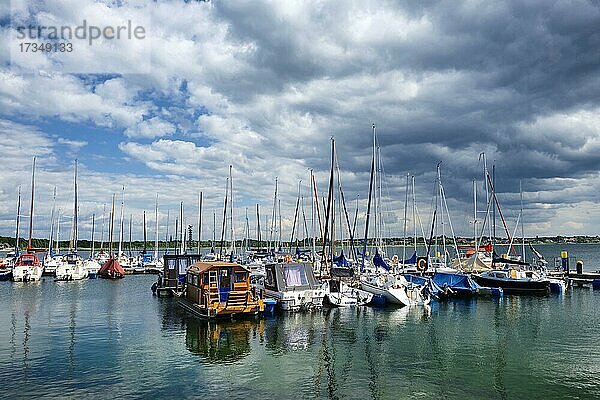 Yachthafen Marina Bernsteinsee  Großer Goitzschesee  Goitzsche bei Bitterfeld  Sachsen-Anhalt  Deutschland  Europa