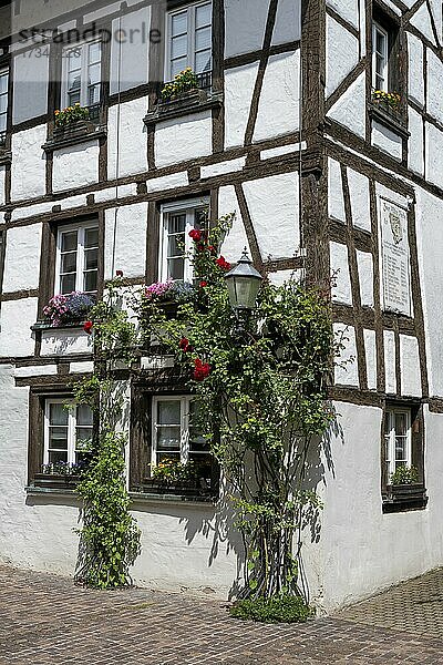 Historisches Fachwerkhaus im Altstadtviertel Griener Winkel  Radolfzell am Bodensee  Landkreis Konstanz  Baden-Württemberg  Deutschland  Europa
