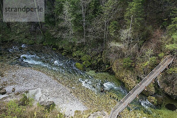 Steyrschlucht mit Holzbrücke über Steyr  Naturschutzgebiet Steyrschlucht  Molln  Oberösterreich  Österreich  Europa