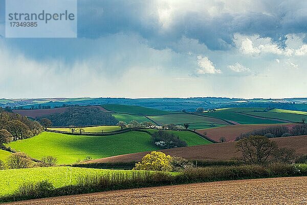 Dramatische Wolken und Himmel über den Feldern von Berry Pomeroy  Devon  England  Großbritannien  Europa