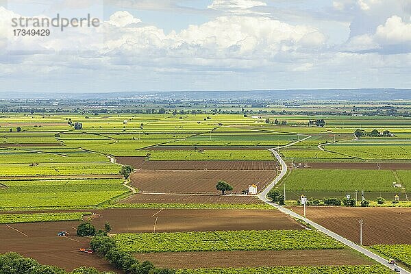 Landwirtschaftliche Felder  Landschaft mit dramatischem Himmel  Santarem  Portugal  Europa