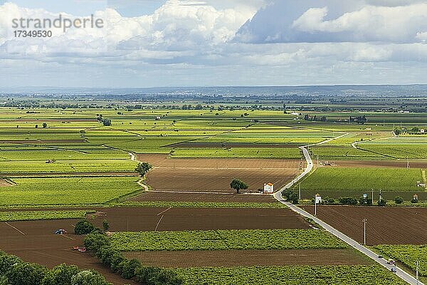 Landwirtschaftliche Felder  Landschaft mit dramatischem Himmel  Santarem  Portugal  Europa