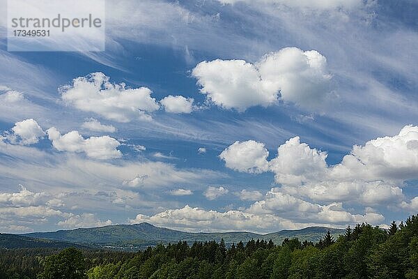 Blick zum Rachel  Natioanlpark Bayerischer Wald  Deutschland  Europa