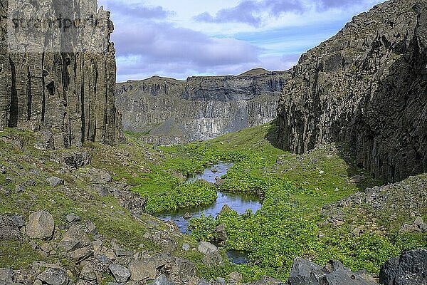 Grüner Seitencanyon mit kleinem Bach  Wanderung Hafragilsfoss  Norðurþing  Norðurland eystra  Island  Europa