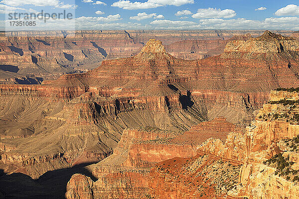 Blick vom Cape Royal  North Rim  Grand Canyon National Park  UNESCO-Welterbe  Arizona  Vereinigte Staaten von Amerika  Nordamerika