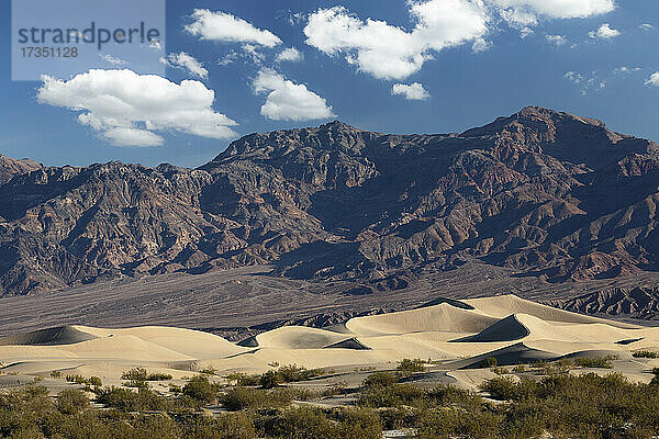 Mesquite Flat Sanddünen bei Sonnenaufgang  Death Valley National Park  Kalifornien  Vereinigte Staaten von Amerika  Nordamerika
