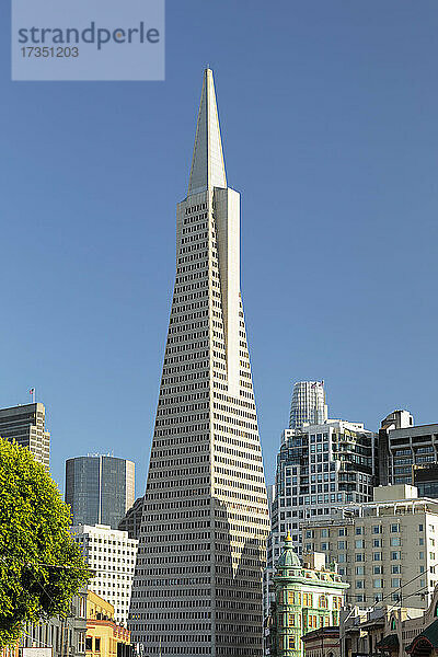Transamerica Pyramid  Financial District  San Francisco  Kalifornien  Vereinigte Staaten von Amerika  Nordamerika