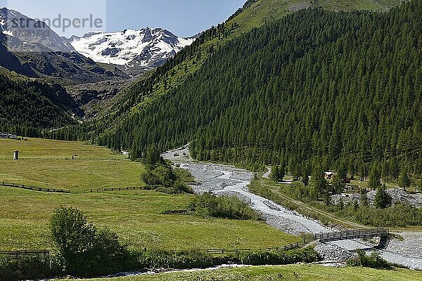 Hinteres Suldental mit Suldenbach und Brücke  hinten Königsspitze Gran Zebu  Bergdorf Sulden  Solda  Ortsteil der Gemeinde Stilfs  Suldental  Ortler-Alpen  Ortles  Vinschgau  Trentino-Südtirol  Italien  Europa