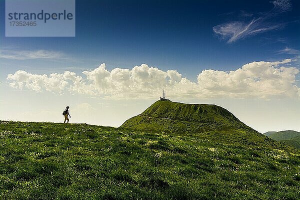 Wanderer im regionalen Naturpark der Vulkane der Auvergne  Vulkan Puy de Dome im Hintergrund  Unesco-Weltkulturerbe  Departement Puy de Dome  Auvergne-Rhone-Alpes  Frankreich  Europa