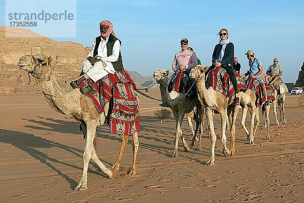 Touristen machen geführter Kamelritt auf Arabisches Kamel (Camelus dromedarius)  Dromedar  Wadi Rum  Jordanien  Asien