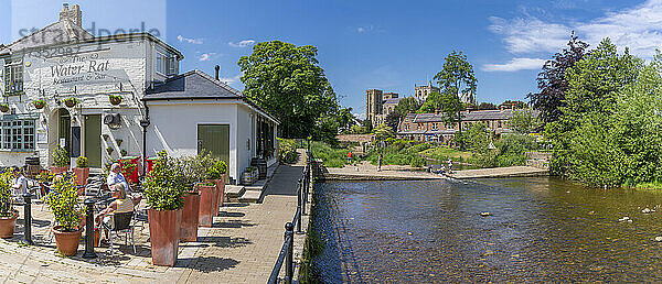 Blick auf die Kathedrale von Ripon und das Gasthaus The Water Rat am Ufer des Flusses Skell  Ripon  North Yorkshire  England  Vereinigtes Königreich  Europa