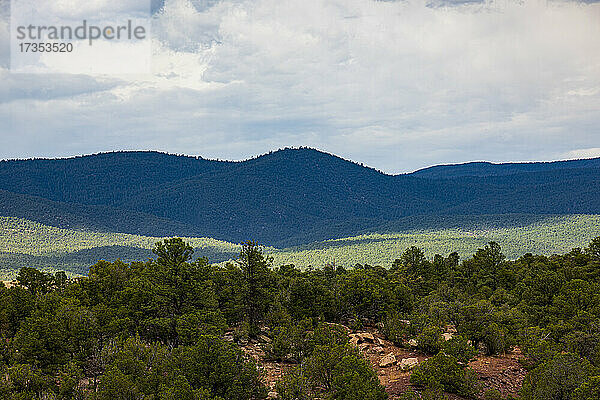USA  New Mexico  Pecos  Pecos National Historic Park  Landschaft mit Sangre de Cristo Mountains und Wald