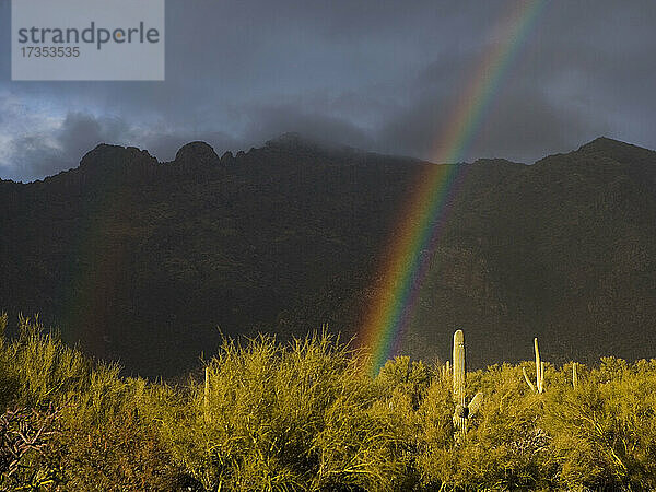 USA  Arizona  Tucson  Regenbogen in Landschaft mit Bergen im Hintergrund