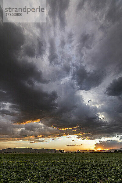 USA  Idaho  Bellevue  Sturmwolken über Feldern bei Sonnenuntergang