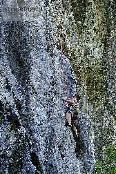 Klettern an einer Felswand  Klettererin in Wand  Sport-Klettern  Buzetski kanjon  Klettergebiet  Istrien  Kroatien  Europa