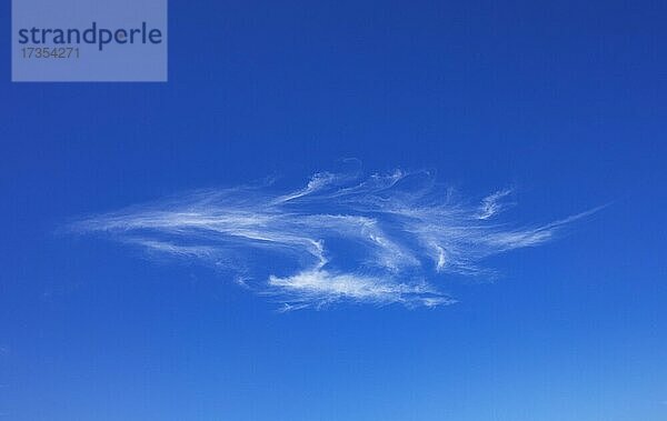 Federwolken  Cirruswolken  Eiswolke  Wolke am blauen Himmel  Oberösterreich  Österreich  Europa