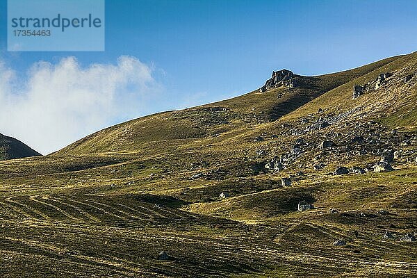 Trockener Berg  Regionaler Naturpark der Volcans d'Auvergne  Puy de Dome  Frankreich  Europa