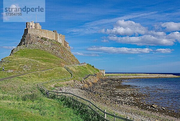 Burg auf Hügel über dem Meer  Strand im Hintergrund  Lindisfarne Castle  Holy Island  England  Großbritannien  Europa