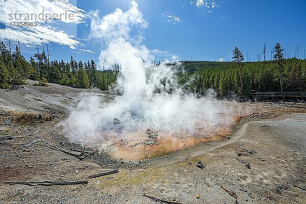 Dampfende heiße Quelle  bunte Mineralablagerungen  Noris Geyser Basin  Yellowstone Nationalpark  Wyoming  USA  Nordamerika
