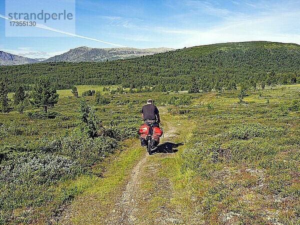 Fahrradfahrer mit viel Gepäck auf schmalem Weg  Berglandschaft mit leichtem Bewuchs  FJell  Mjolkeveien  Norwegen  Europa