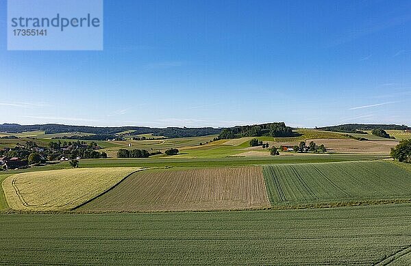 Agrarlandschaft  Landwirtschaftliche Felder mit Bauernhöfe bei Waldzell  Innviertel  Oberösterreich  Österreich  Europa