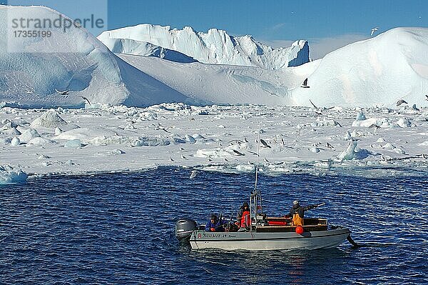 Kleines Fischerboot vor riesigen Eisbergen und Treibeis  Möwen  Winter  Disko Bucht  Ilulissat  Westgrönland  Dänemark  Europa