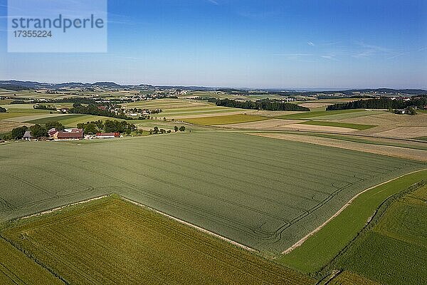 Drohnenaufnahme  Agrarlandschaft  Landwirtschaftliche Felder mit Bauernhöfen bei Waldzell  Innviertel  Oberösterreich  Österreich  Europa