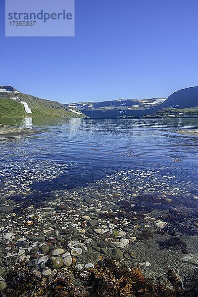 Muschelbucht  Heysteri  Hornstrandir  Vestfirðir  Island  Europa