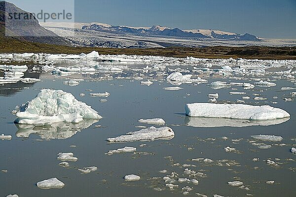 Eisstücke in einem See  Gletscher im Hintergrund  Fjallsarlon  Island  Europa