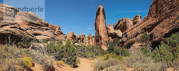 Felsformationen im Devil's Garden  Arches-Nationalpark  bei Moab  Utah  USA  Nordamerika