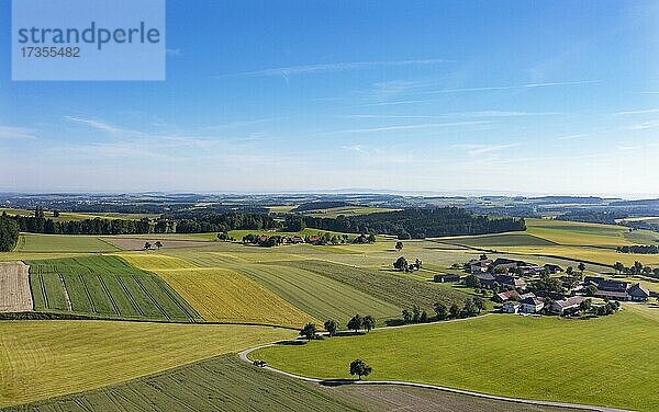 Drohnenaufnahme  Agrarlandschaft  Landwirtschaftliche Felder mit Bauernhöfen bei Waldzell  Innviertel  Oberösterreich  Österreich  Europa