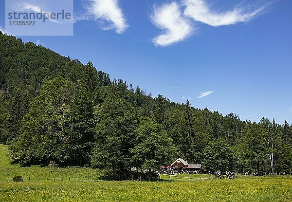 Wanderweg vom Schwarzensee zur Moosalm Gemeinde St.Wolfgang  Salzkammergut  Oberösterreich  Österreich  Europa