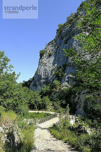 Wanderweg in Buzetski kanjon  Klettergebiet  Istrien  Kroatien  Europa