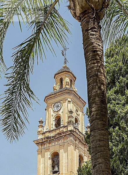 Glockenturm der Stiftsbasilika Santa Maria alias La Seu  Gandia (Gandía)  Spanien  Europa