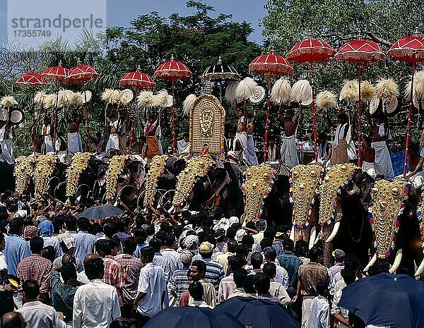 Zuschauer bei der Elefantenprozession beim Pooram-Fest in Thrissur  Trichur  Kerala  Indien  Asien
