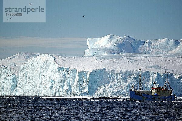 Kleines Fischerboot vor riesigen Eisbergen und Treibeis  Möwen  Winter  Disko Bucht  Ilulissat  Westgrönland  Dänemark  Europa