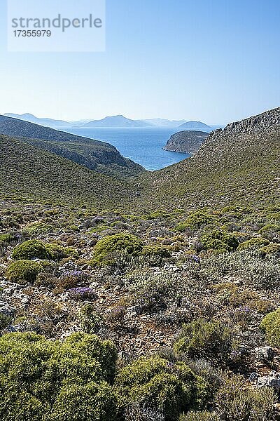 Küste und Meer  Kalymnos  Dodekanes  Griechenland  Europa