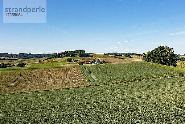 Agrarlandschaft  Landwirtschaftliche Felder mit Bauernhof bei Waldzell  Innviertel  Oberösterreich  Österreich  Europa