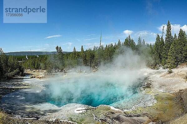 Emerald Spring  Noris Geyser Basin  Yellowstone Nationalpark  Wyoming  USA  Nordamerika