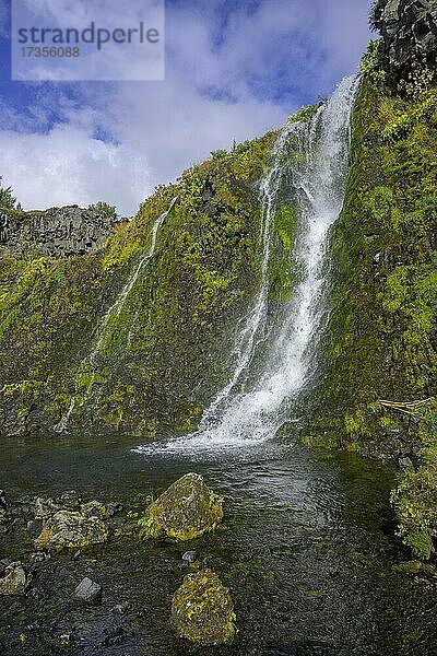 Gjárfoss in der Oase Gjáin  Skeiða- og Gnúpverjahreppur  Suðurland  Island  Europa