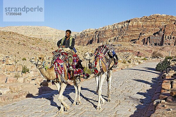 Jordanier (Camelus dromedarius) Kamelreiter mit zwei Kamelen auf Kolonnadenstraße  hinten Königsgräber am Westhang des Jabal al-Khubtha  Petra  antike Hauptstadt der Nabatäer  UNESCO Weltkulturerbe  Königreich Jordanien